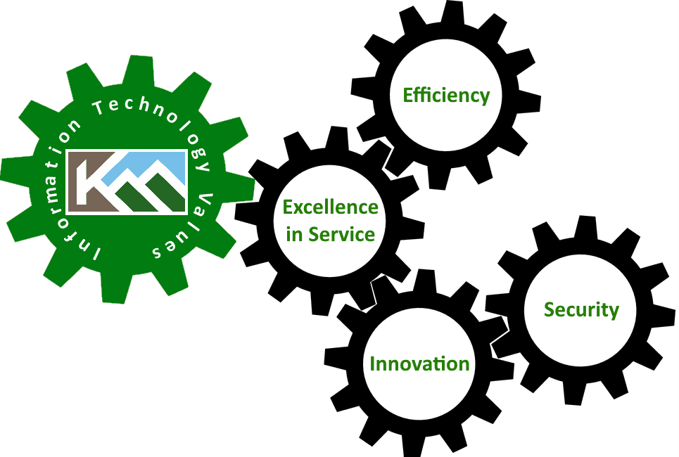 IT Department Values