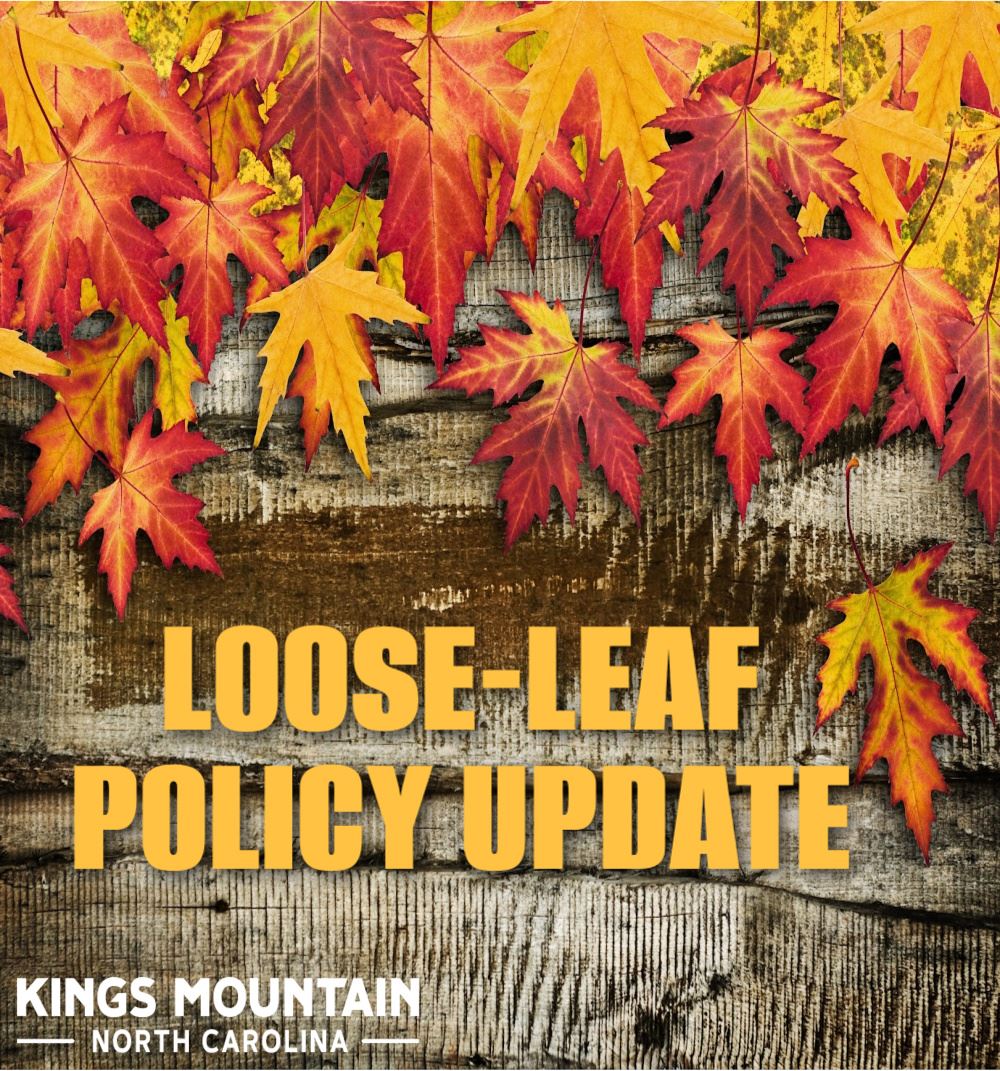 LOOSE LEAF POLICY UPDATE copy 2